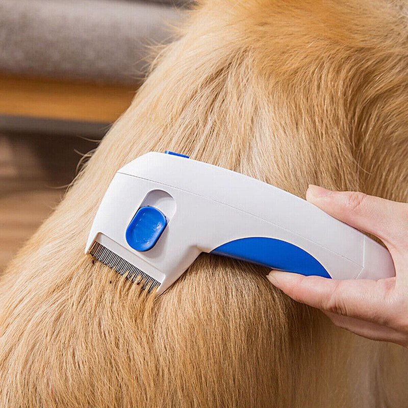 DocFlea electric flea remover used on pet fur